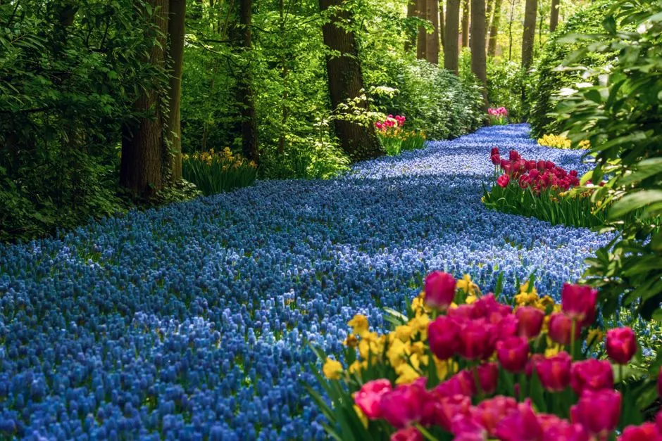 Best Botanical Gardens in the South: 7 Worth a Road Trip